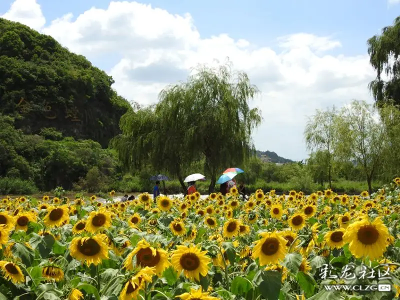 故地重游一重游牧羊湖(云南安宁温泉)