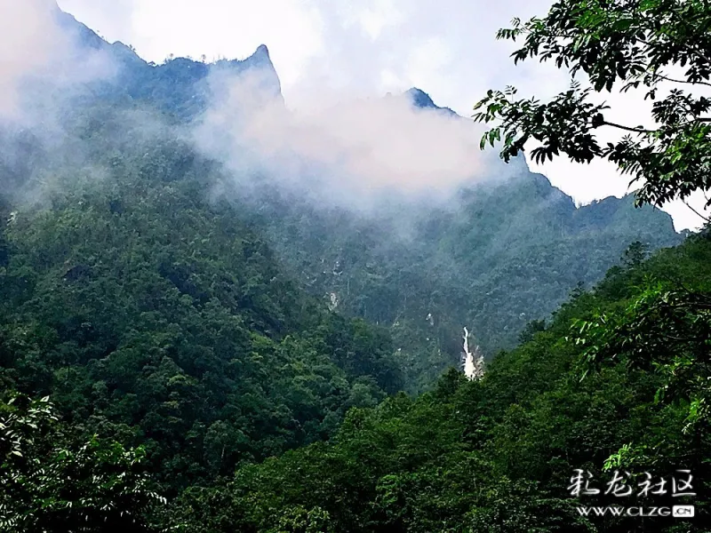 高黎贡山中的"千古情侣"阴阳山瀑布!