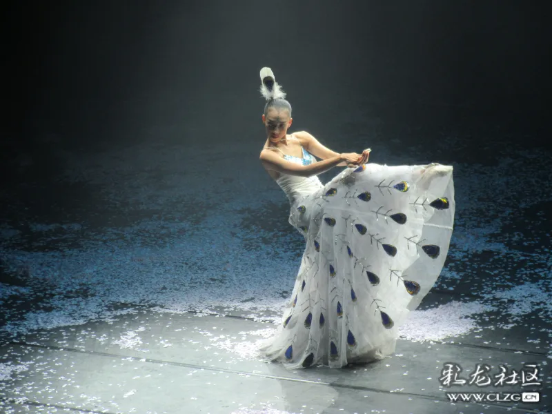 阿瑞镜头下的线小团