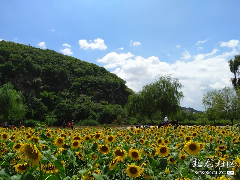 故地重游一重游牧羊湖云南安宁温泉
